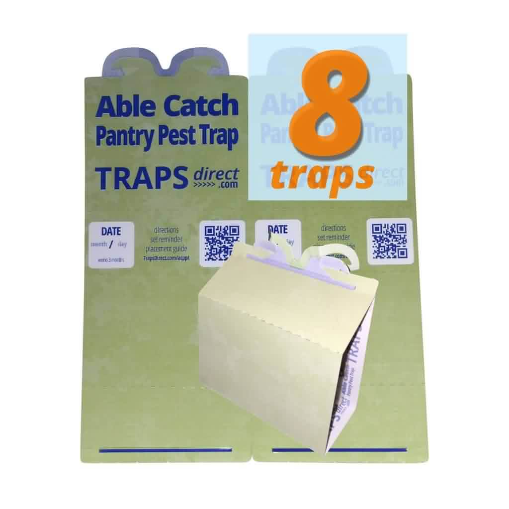 Able catch pheromone moth traps